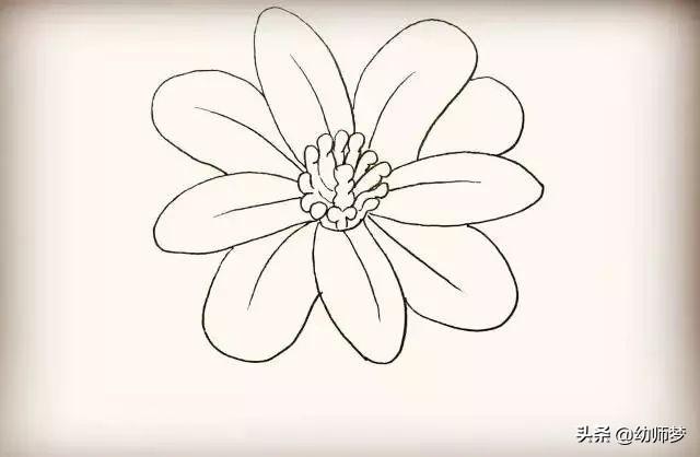 如何画花朵简笔画，如何画花朵简笔画图片（教你超简单的花朵简笔画）
