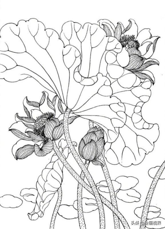 工笔画荷花线稿怎么画