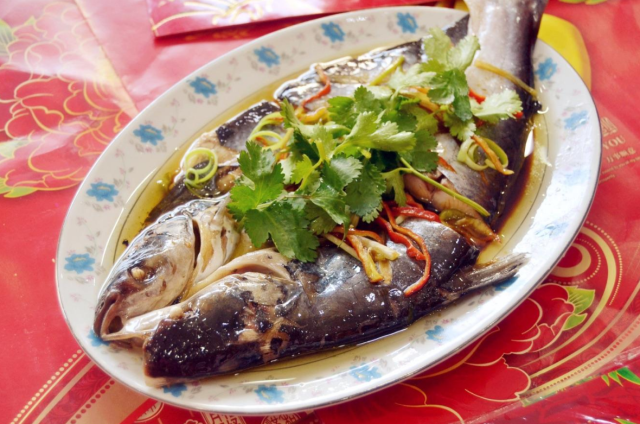 清蒸鲟鱼的做法和步骤，清蒸鲟鱼的正宗做法（不会做“清蒸鱼”）