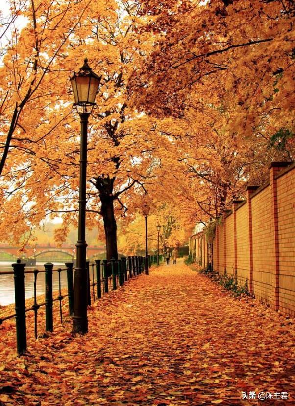 内蒙古人所说的风季是哪个季节，蒙古人的风季是什么季节（中国历史地理常识大全）