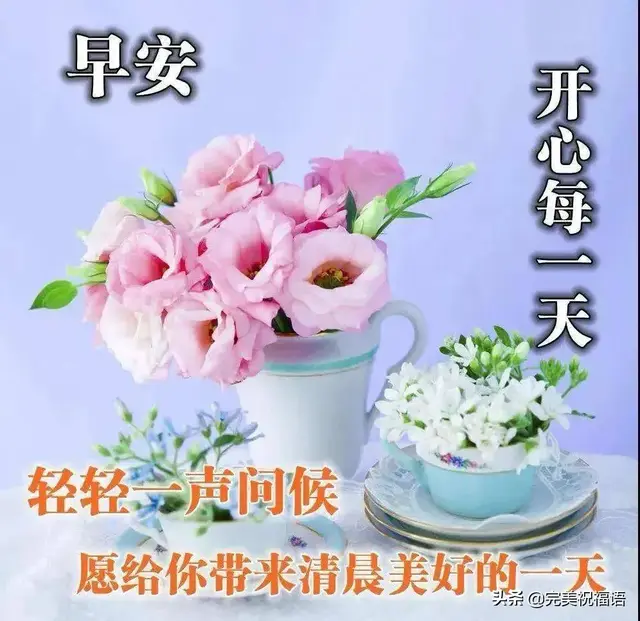 清晨心语唯美诗句，清晨心语优美的语句（给你送去芬芳；寄一粒红豆）