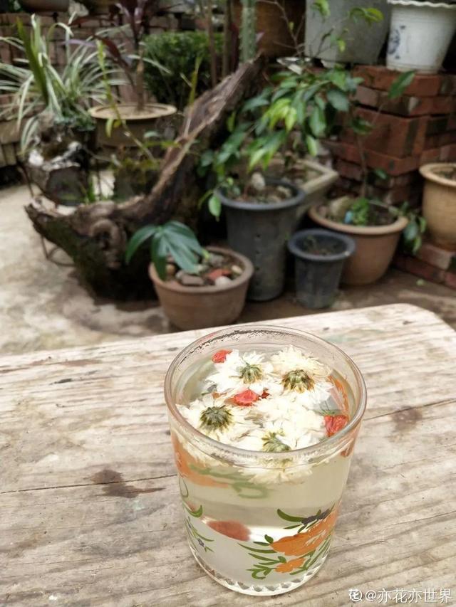 不锈钢盆可以放烤箱吗，烤箱里可以放不锈钢盆吗（10种花最养人）