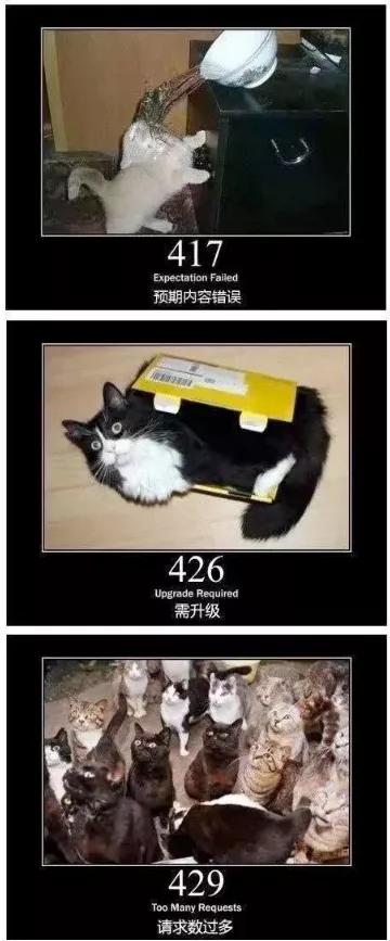 404，404、405这些错误指令你知道是什么意思吗