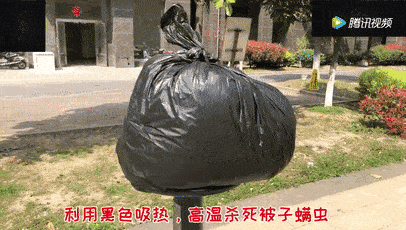 除螨皂一天用几次，除螨皂一天用几次最好（冬天是螨虫的“活跃”期）