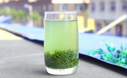 毛尖是什么茶，冻顶乌龙茶是什么茶（茶知识百科：信阳毛尖）