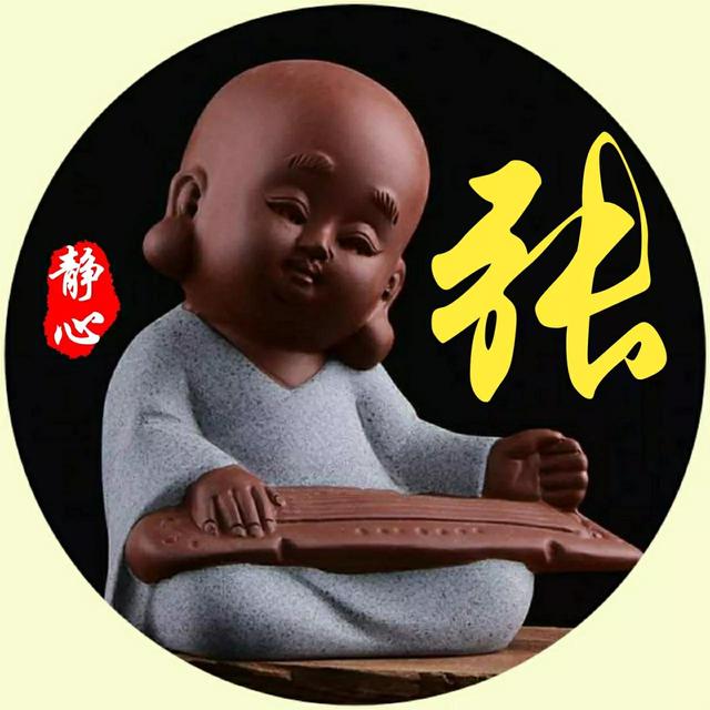 张琪笙，微信头像，张琪笙（60张姓氏头像）