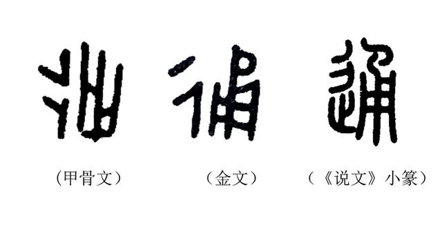 通字五行属什么，熙字的含义取名怎么样（《说文解字》第247课）
