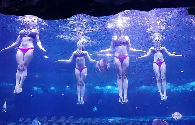 西安海洋馆，一天玩转曲江海洋公园的攻略现在才知道（西安海洋馆作文）