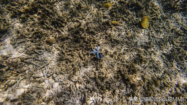 梦幻天堂游戏手机版下载，梦幻天堂经营手游官网最新版下载安装安卓版appv45.0.2（我才明白什么叫做梦幻天堂）