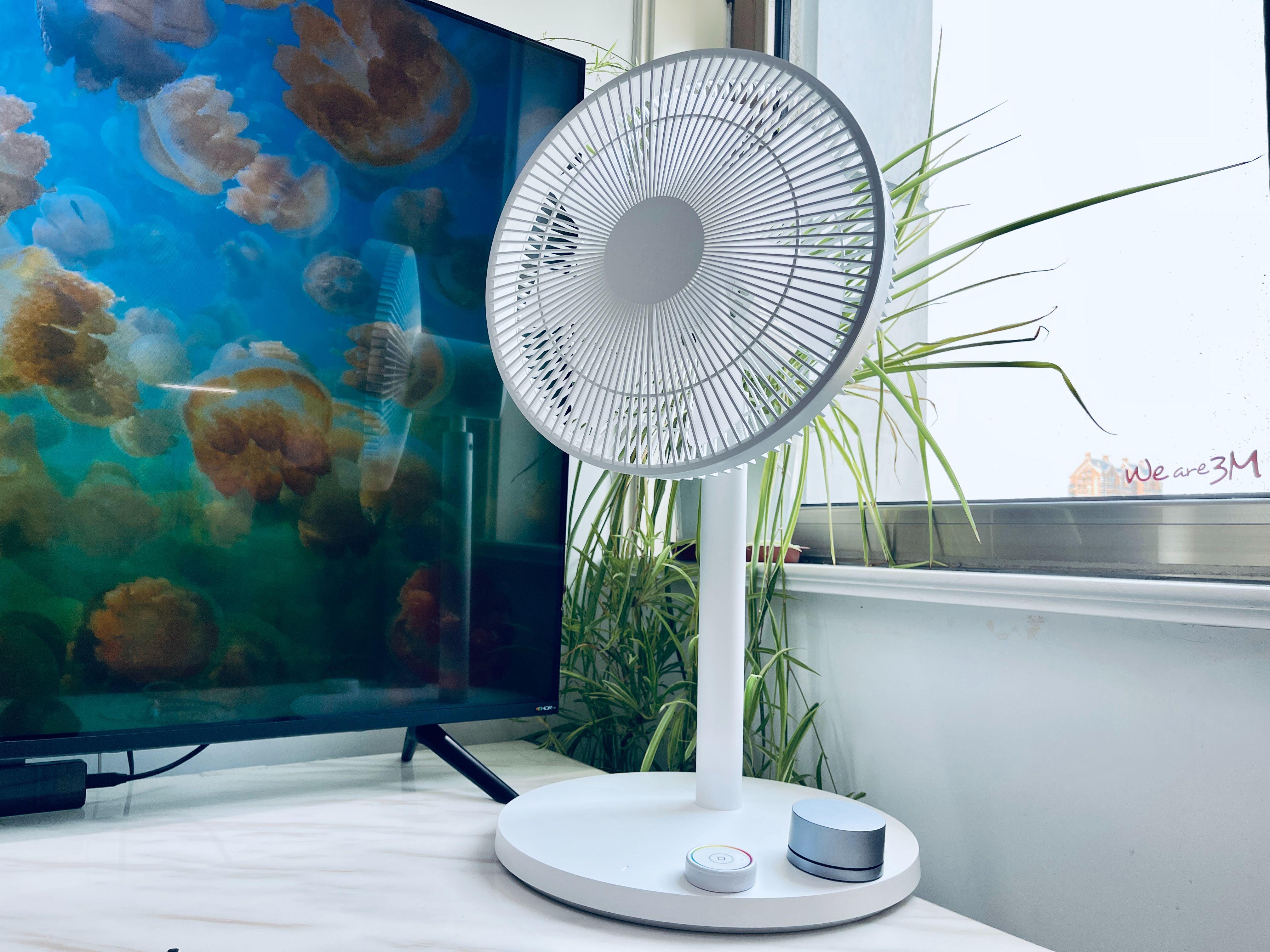 烧烤风扇多少钱一个(一顿烧烤换清凉整夏) - 价格百科