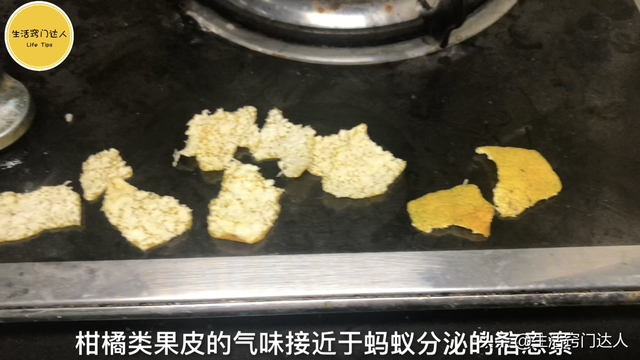 怎么消灭蚂蚁，驱赶蚂蚁别用灭虫剂