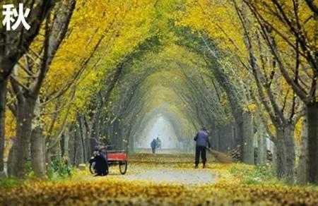 武汉的区号是多少，湖北武汉的固定电话区号是多少（户口在武汉的，请务必看一下）