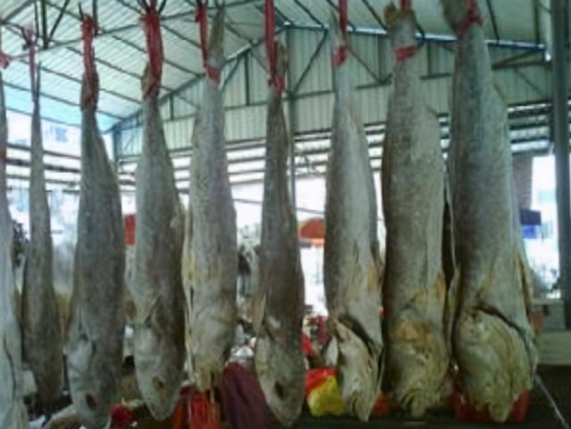 每天吃一条鱼的危害，每天吃一条鱼的危害大吗（5类鱼没营养）