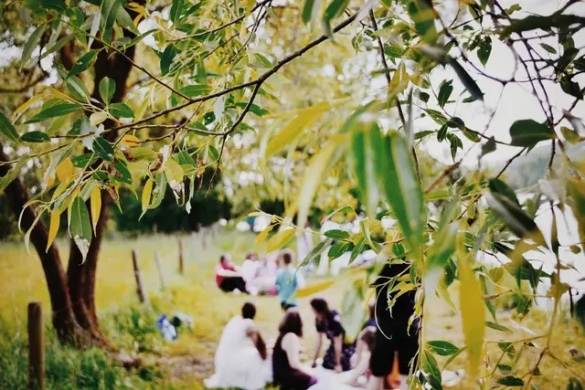 picnic是什么意思，picnic意思（最野的野餐，只在朋友圈里）
