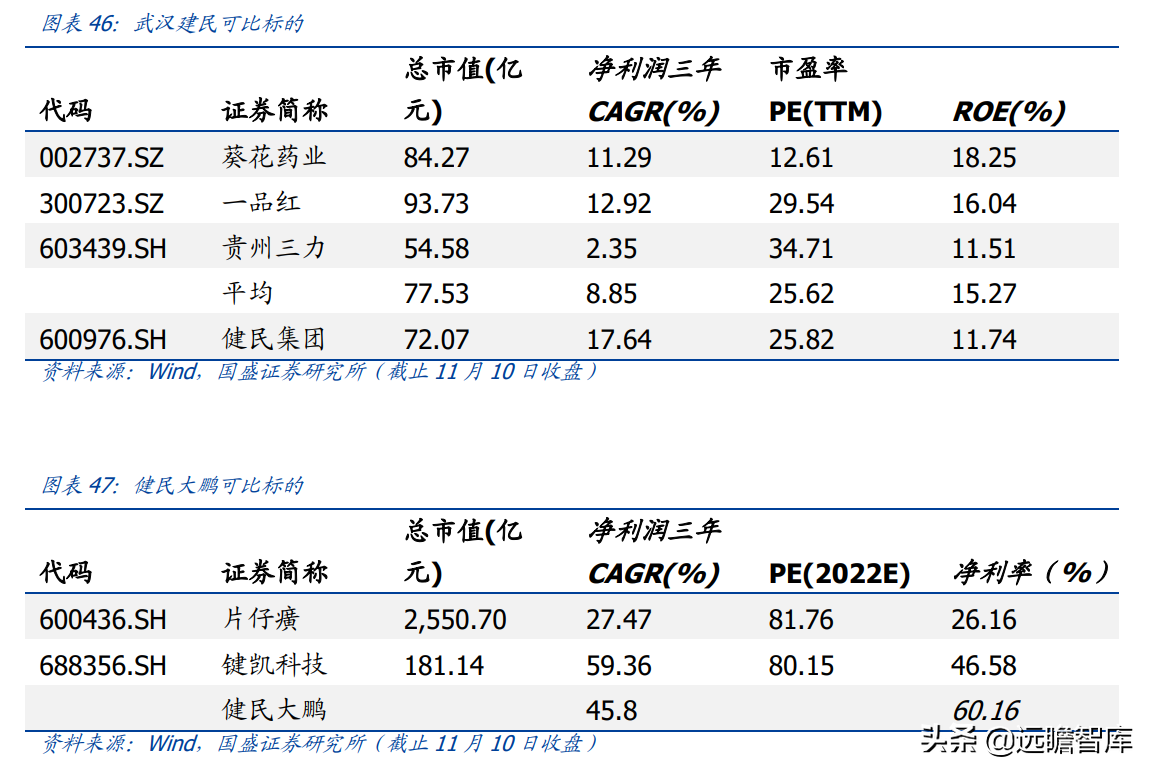 武汉健民集团（四百年叶开泰）