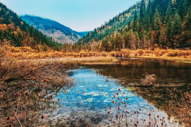 绝句古诗，绝句古诗杜甫（王维最美的10首五言绝句）