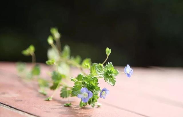 想念一个人太久 是会重逢的.，想念一个人心里很难受怎么办（对方会有心灵感应图片）