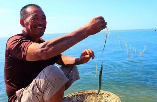 怎样做马步鱼，怎样做马步鱼汤（这种又细又长的鱼名叫“马步鱼”它既是海鱼又是河鱼）