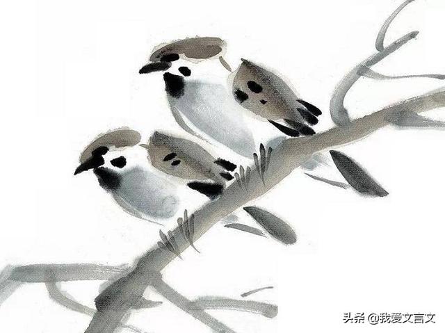 等闲之辈的意思，绝非等闲之辈的意思（经典文言文赏析 ， 鸟说）