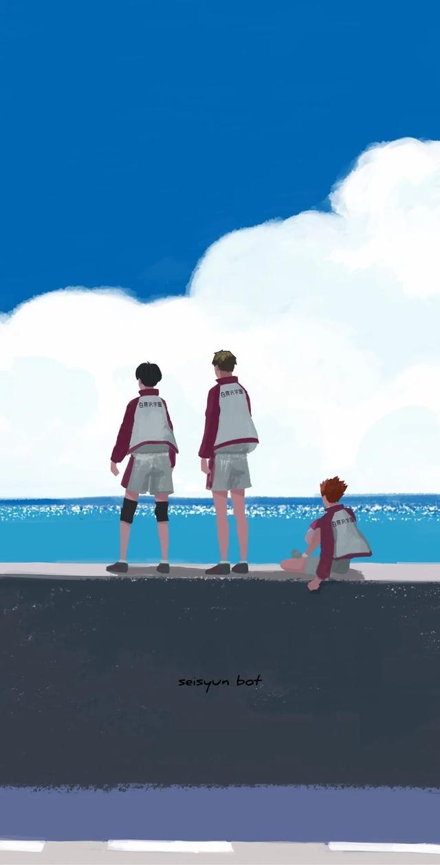 排球少年阵容介绍，《排球少年》最后什么结局