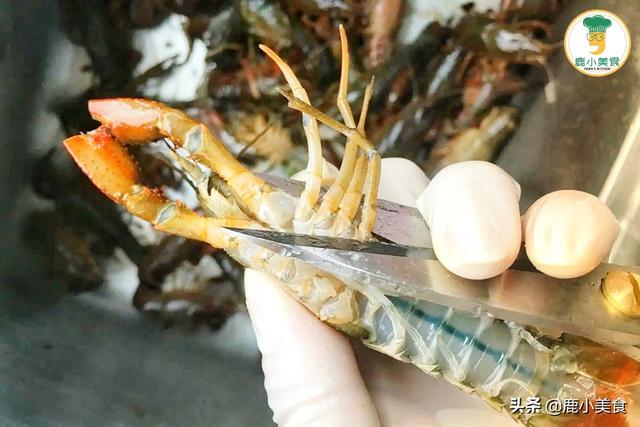 怎么样清洗虾，虾怎么弄干净（都要学会“洗虾5步骤”）