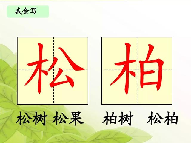 汉字松的组词，松的组词（部编版二年级语文上册识字2《树》知识点+图文解读）