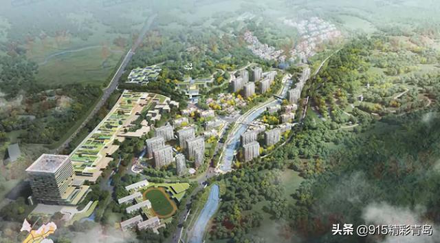 崂山位于青岛的哪边，青岛崂山在什么位置（为什么“崂山区”是青岛独特的存在）