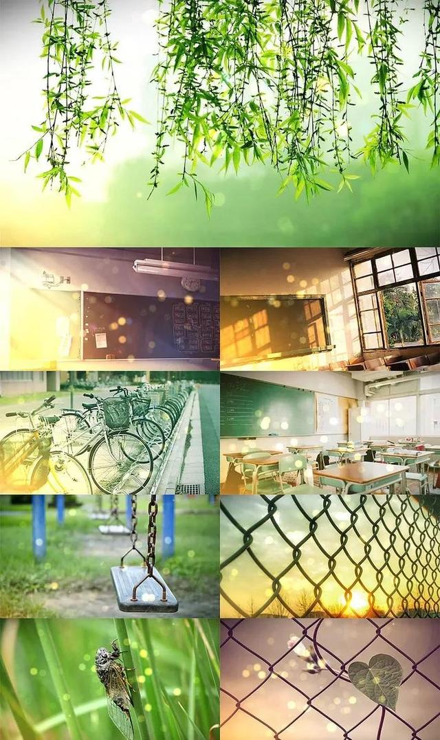 青春校园小说，青春校园小说名字怎么取（推荐3部超甜超好看的青春校园小说）