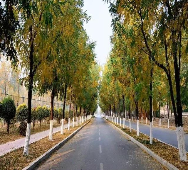 沈阳城市建设学院是几本，沈阳城市建设学院是几本大学（<十一>沈阳城市建设学院）