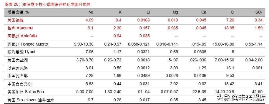 雅高达（锂行业专题报告）