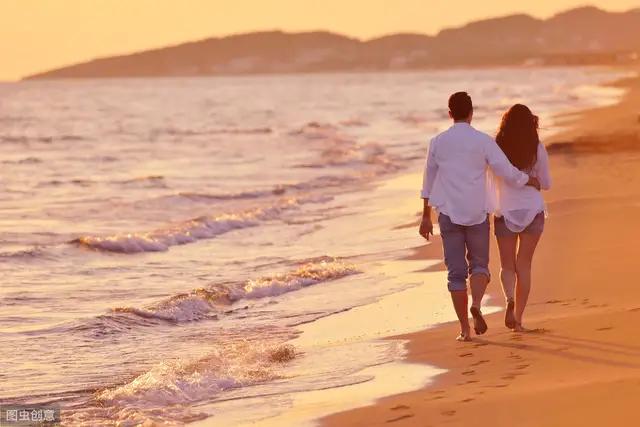 好白菜都让猪拱了是什么意思，好白菜都让猪拱了是什么意思衡水中学（为什么男人老爱说“好白菜都让猪拱了）