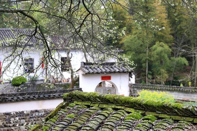 宏村在哪里，安徽宏村在哪里（宏村、西递等旅游景区恢复开放）