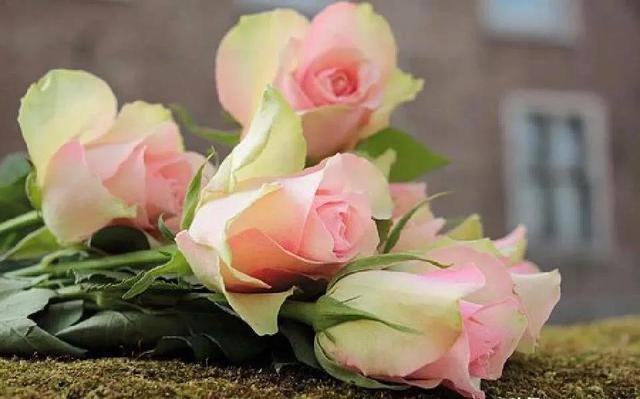 诚信赢天下是什么意思，诚信赢天下的句子经典语录（诚信赢天下）