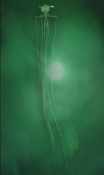 大海图片，大海图片真实照片（大海令人恐惧的一面）