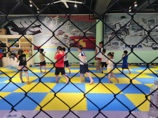 散打和自由搏击哪个更实用，自由搏击和散打哪个杀伤力大（搏击、武术、散打、跆拳道）