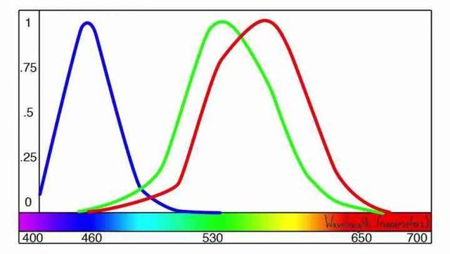 悖论是什么意思，祖父悖论是什么意思（如何解释才能不留BUG）