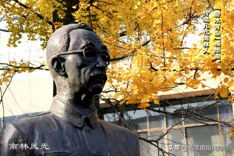 南京211大学（江苏这所大学实力）