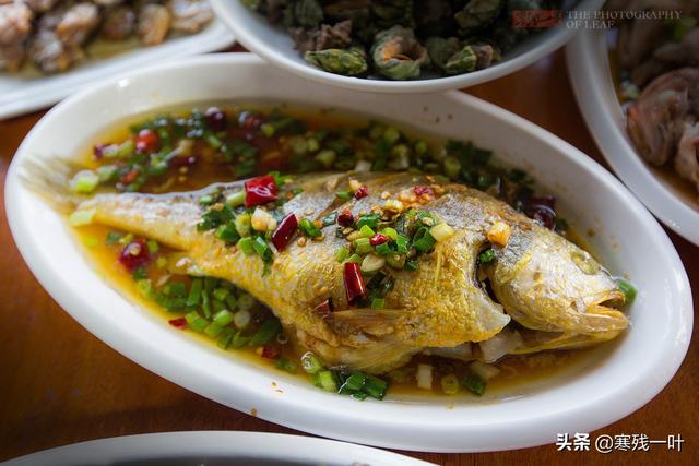 佛手螺是哪儿的特产，佛手螺最多的产地是哪里（浙江宁波渔山岛有个小渔村）