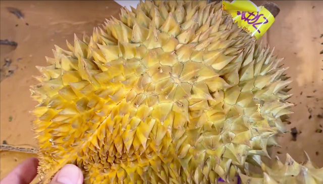 榴莲变质是什么味道，榴莲变质了什么样（教你4个小技巧，保证不踩雷）