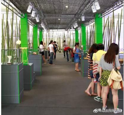 dod是什么意思，dod参数是什么意思（为中国原创设计点燃星火燎原之势）