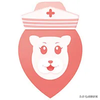 护士资格证书，护士资格证书过期了怎么办（护理注册/领取证书最新全流程）