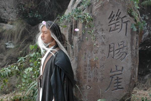 李若彤个人资料简介年龄，李若彤个人资料简历照片（把刘亦菲和李若彤放在一起）