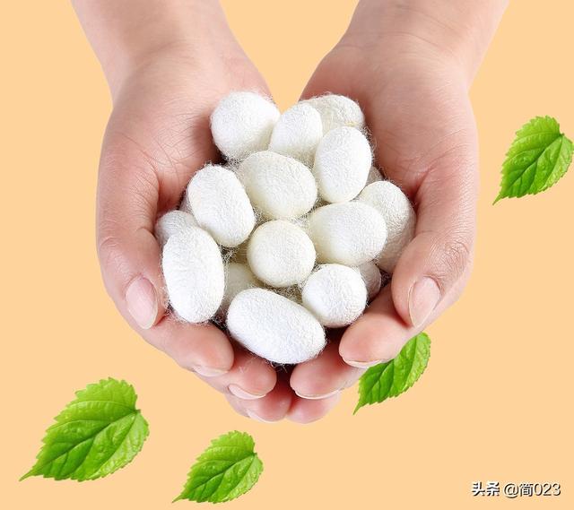 超细纤维是什么材质，超细聚酯纤维是什么材质（服装材料学——丝纤维）