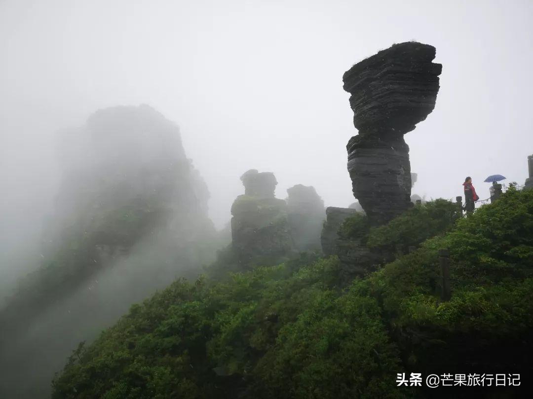 贵州梵净山门票多少钱一张，梵净山门票多少钱一张（梵净山被称为“贵州第一山”）