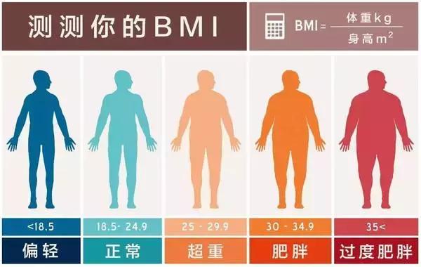 腰围多少正常,女性腰围对照表cm和尺(你知道男女最标准的腰围是多少吗) 腰围多少正常,女性腰围对照表cm和尺(你知道男女最标准的腰围是多少吗)