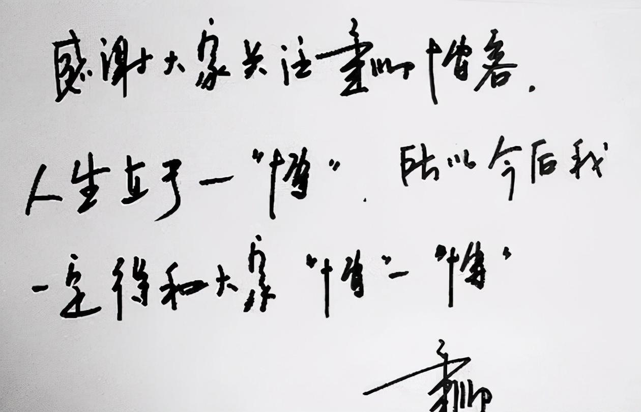 董卿钢笔字欣赏,"董卿体","冯琳体"爆红网络