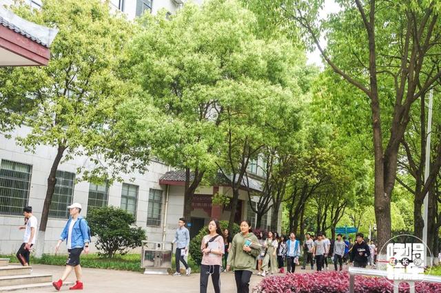 民政学院好吗，民政学院本科专业（民政学院：在大长沙）