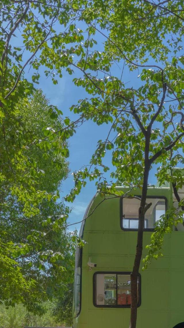 ins复古风壁纸美图呐,ins风格壁纸复古(壁纸小馆:ins风壁纸)