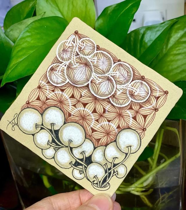 用圆规画出的精美图案，怎样用圆规画好看的图案（画出简单有创意的装饰禅绕画）