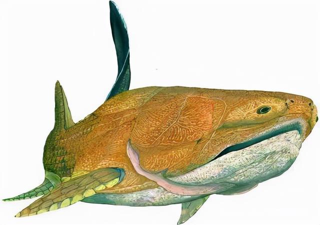 宇宙进化系统，为什么只有人类进化出高度发达的大脑